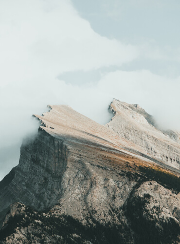 CDP refuerza reubicación de deportistas tras incidente en piscina incidente piscina